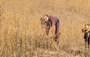 Allumiere dall’antichità ai giorni nostri