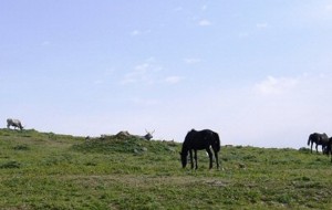 Allumiere dall’antichità ai giorni nostri