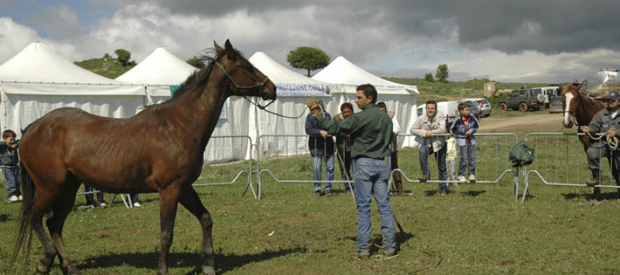 Itinerari a cavallo