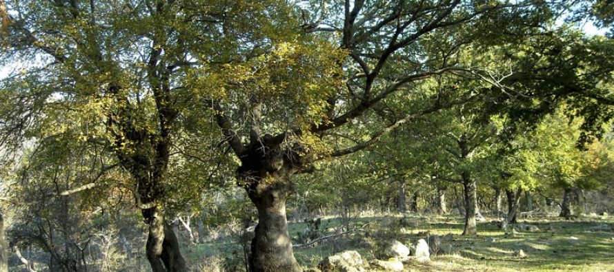 Itinerario naturalistico