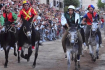 Palio delle Contrade